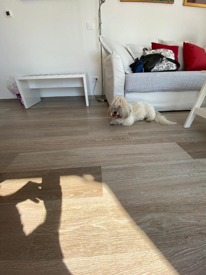 Pearl Of Adriatic Apartment Dubrovnik Ngoại thất bức ảnh